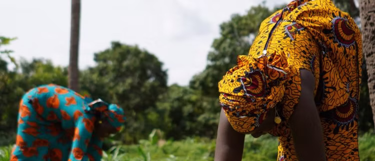 JTA AgriFood Facility